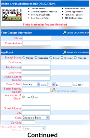 Sample Of Our Credit Application